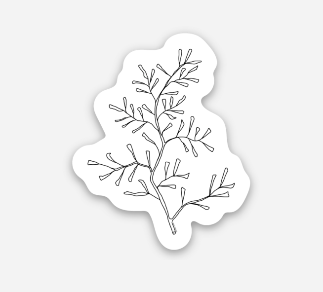 May 2023 | 1.25 x 1.5 Inch Die Cut Sticker