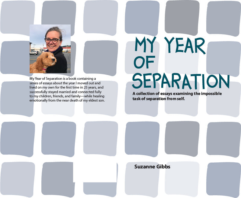 My Year of Separation